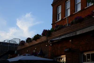 DSC_2914 (Large).JPG